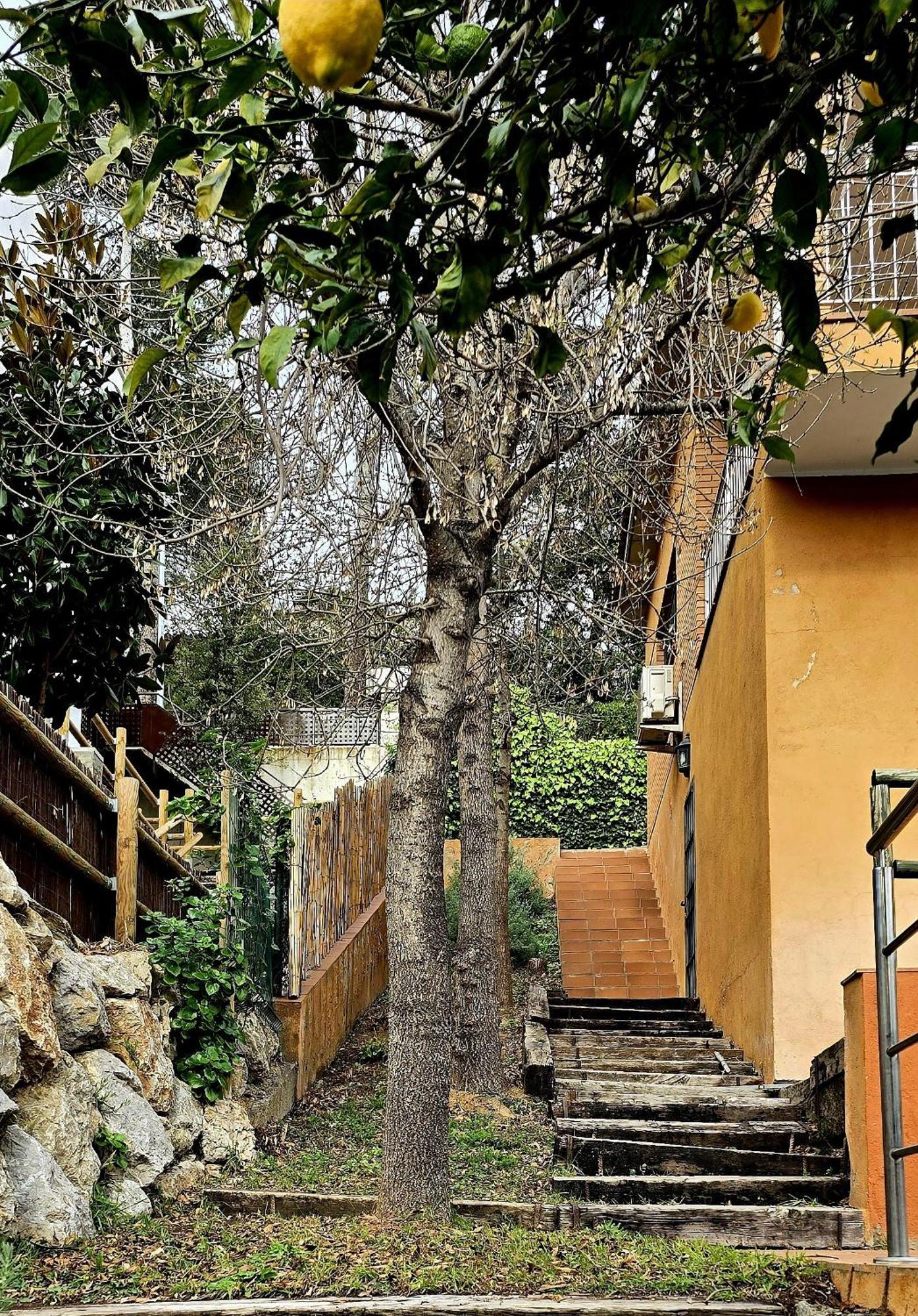 Cal Nene - Plamun Es Villa Begur Exterior photo